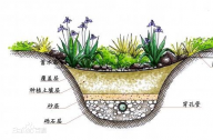 什么是雨水花園？雨水花園和普通花園有什么區(qū)別？