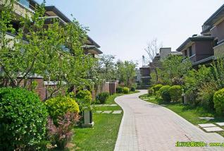 四大園林景觀新趨勢(shì)即將影響苗木市場格局